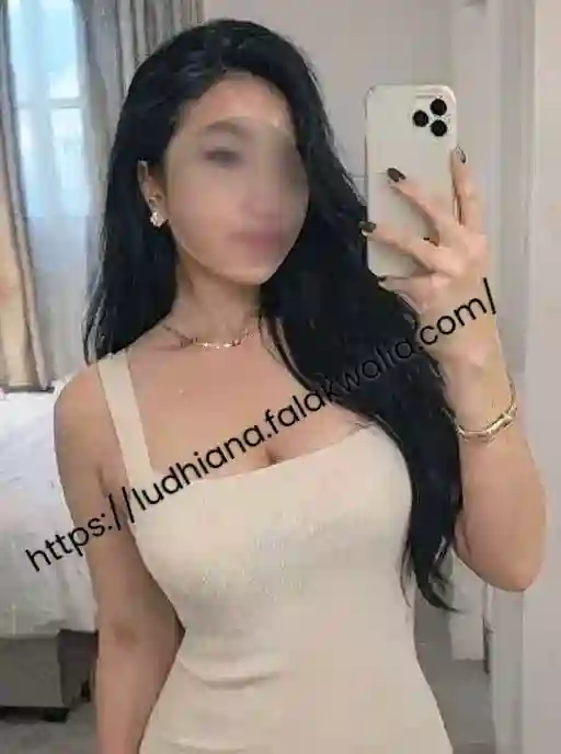ludhiana female escort service